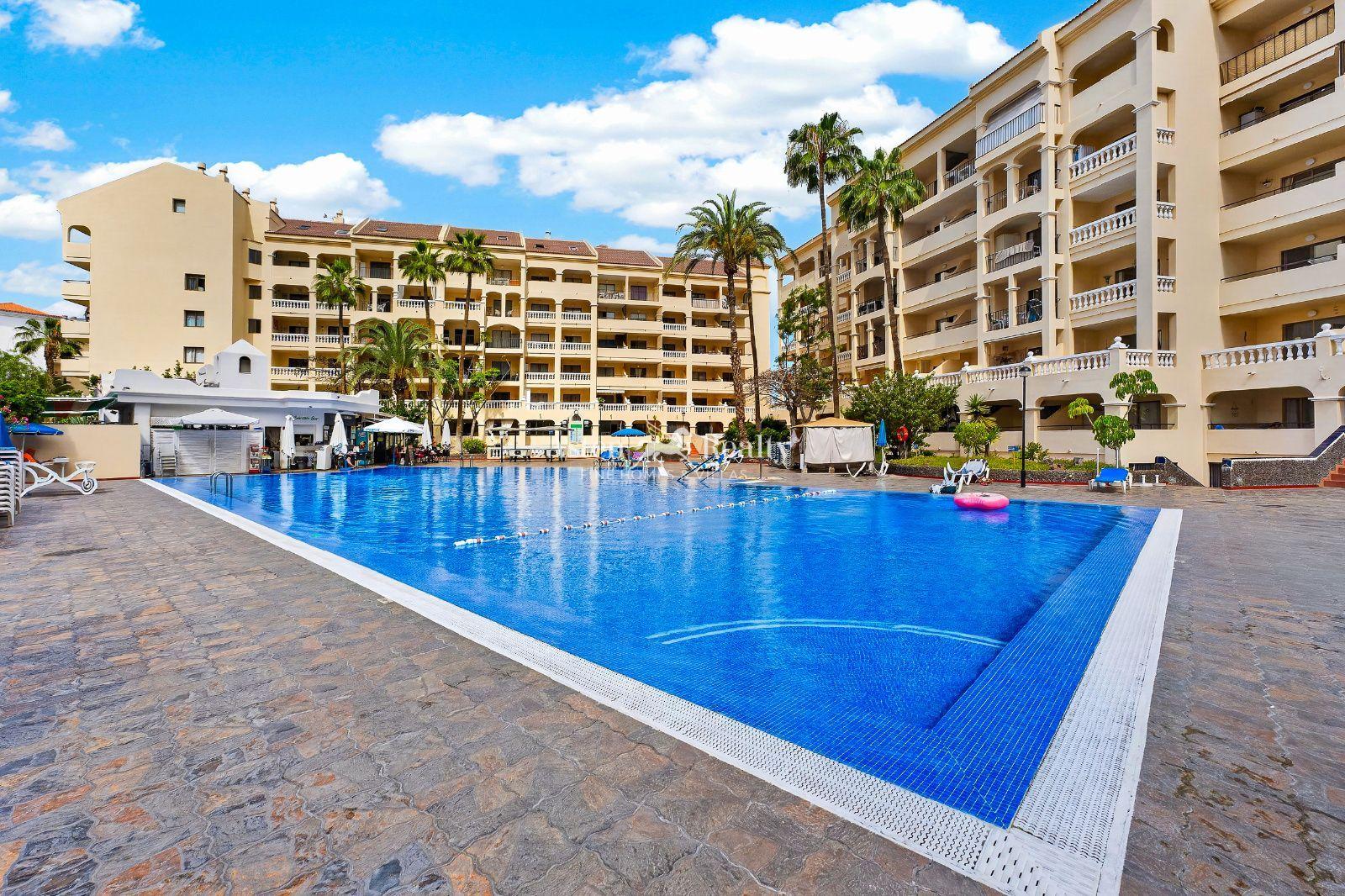 Estudio — Los Cristianos — foto 1