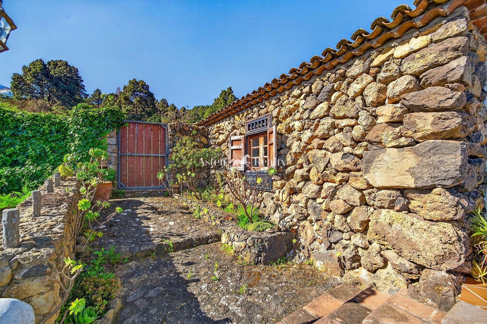 Finca — Icod — foto 2