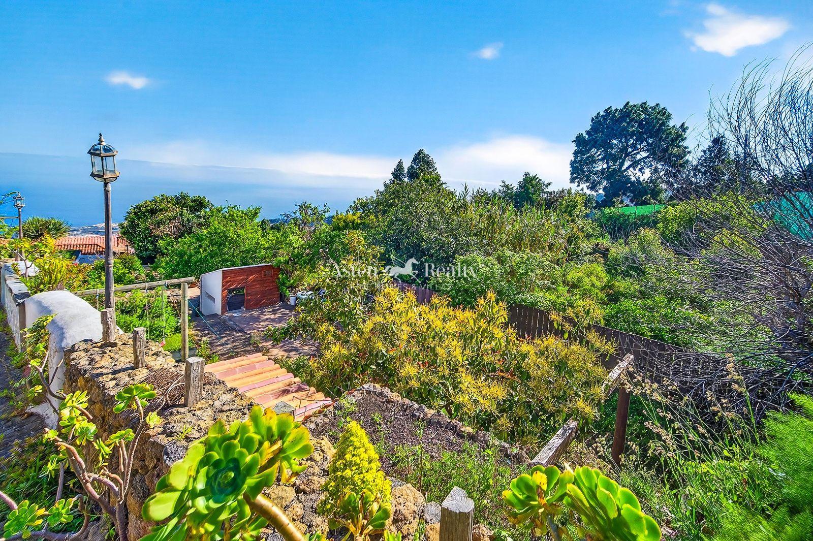 Finca — Icod — foto 3
