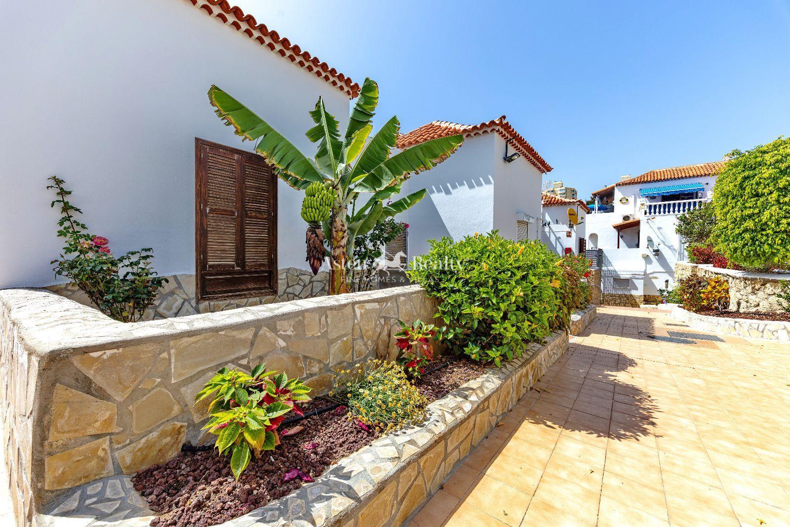Studio — Playa de las Américas — photo 2