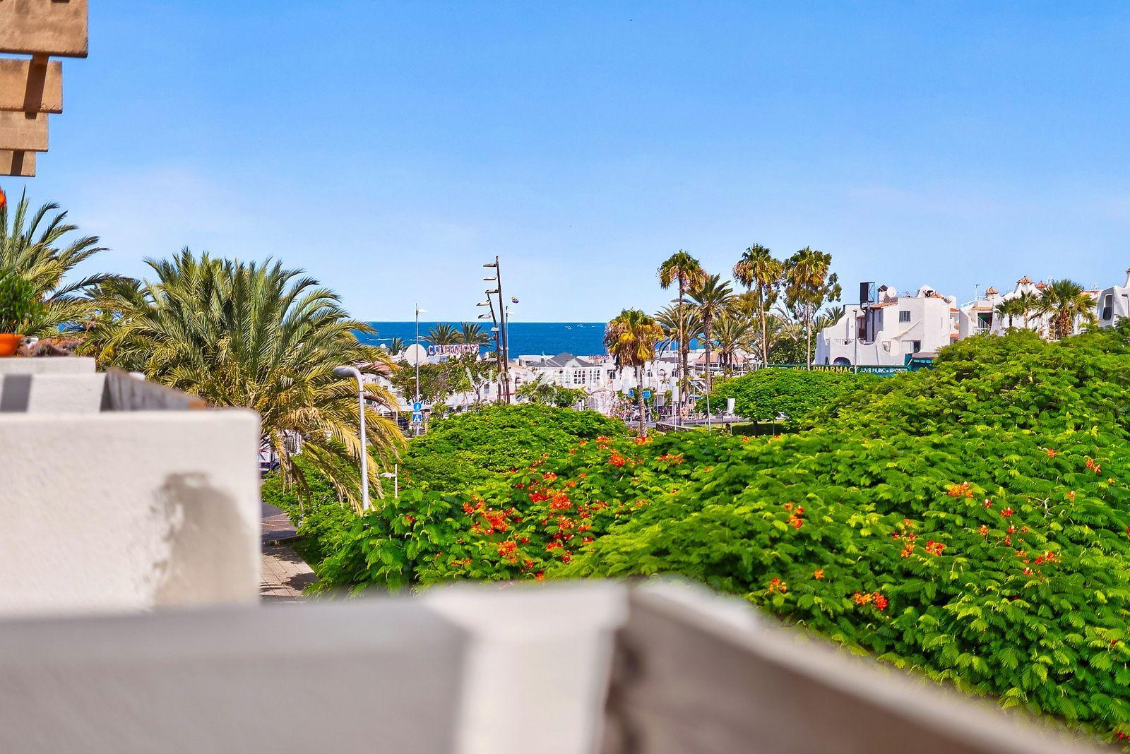 1-bedroom apartment — Playa de las Américas