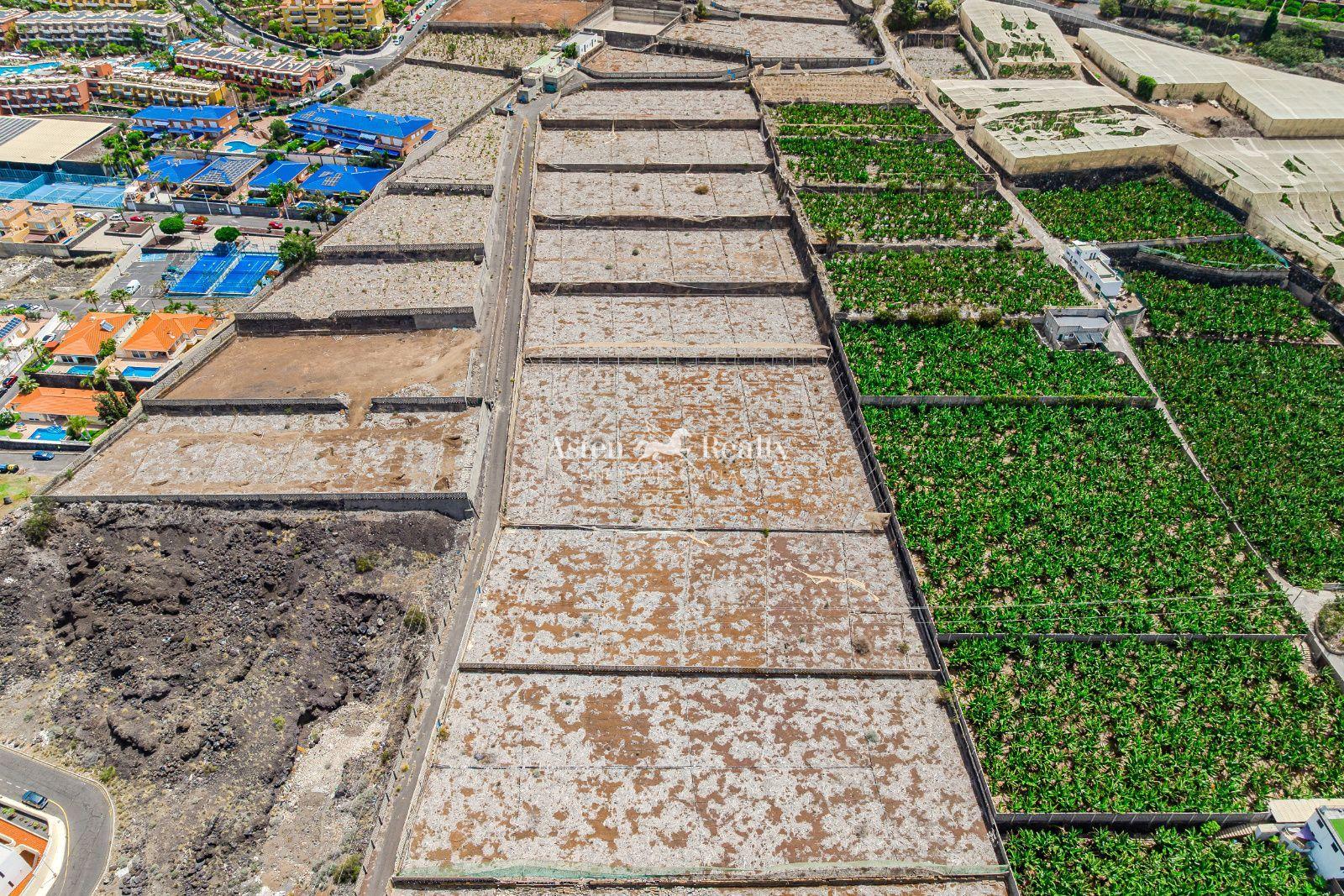 Finca — Puerto de Santiago