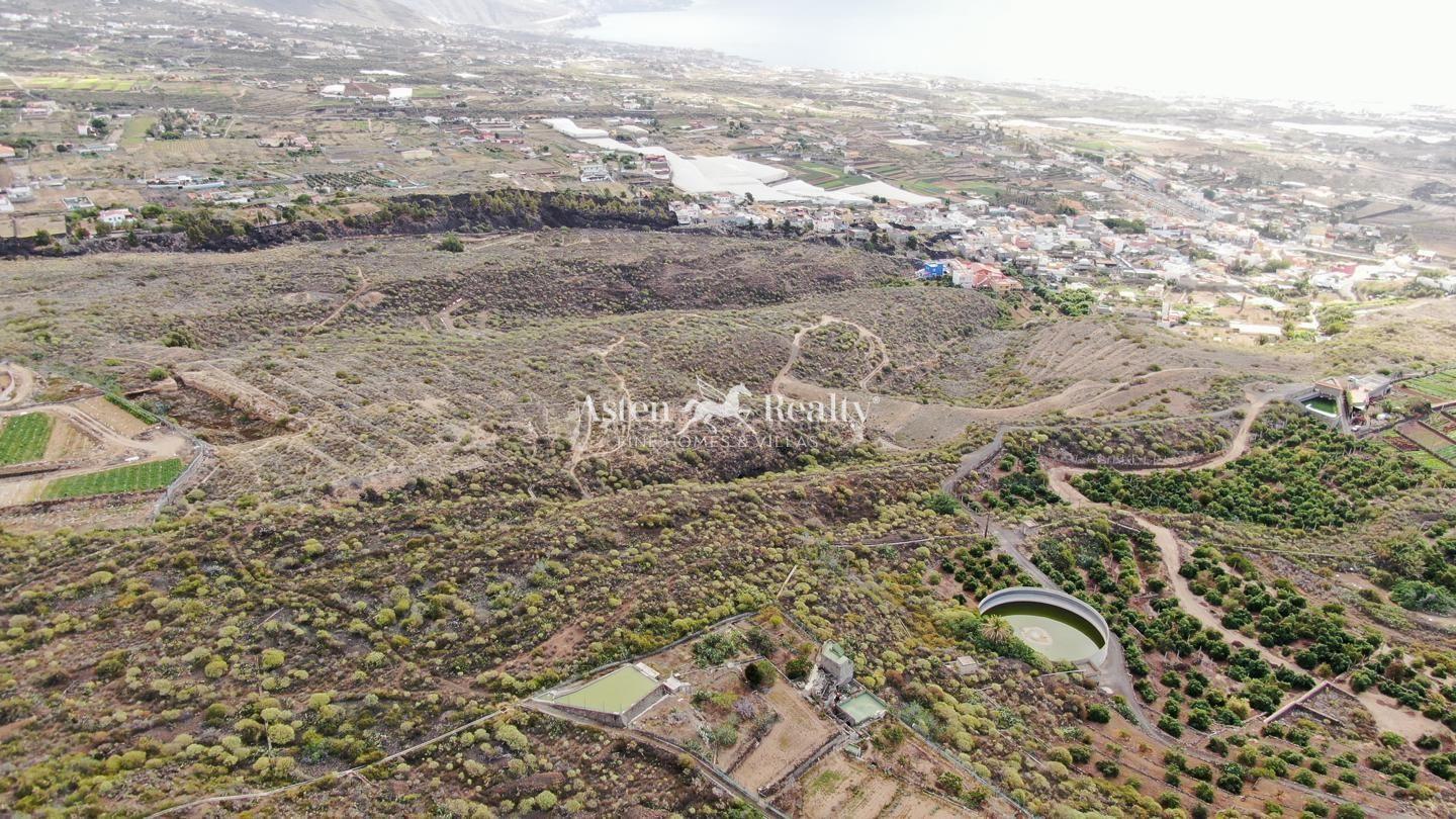 Finca — Güímar — foto 2