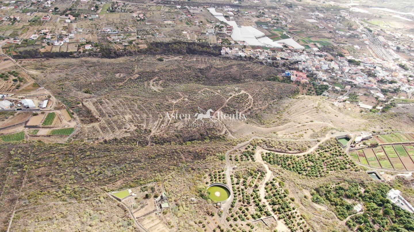 Finca — Güímar — foto 3