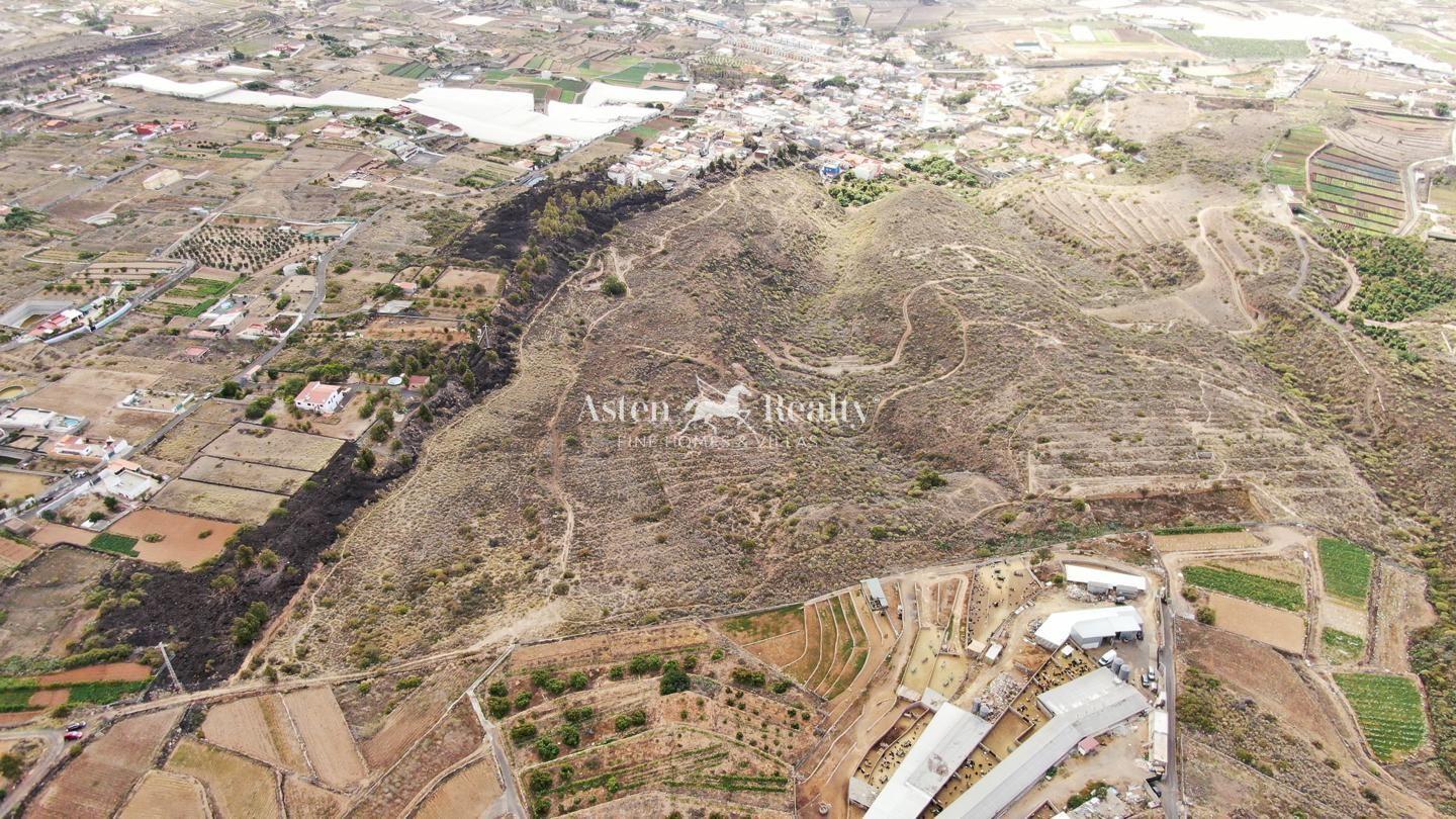 Finca — Güímar — foto 4
