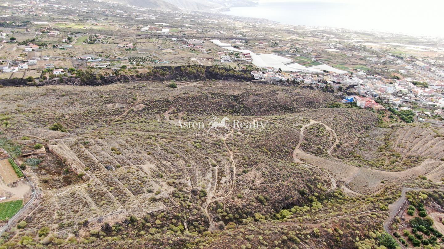 Finca — Güímar — foto 5