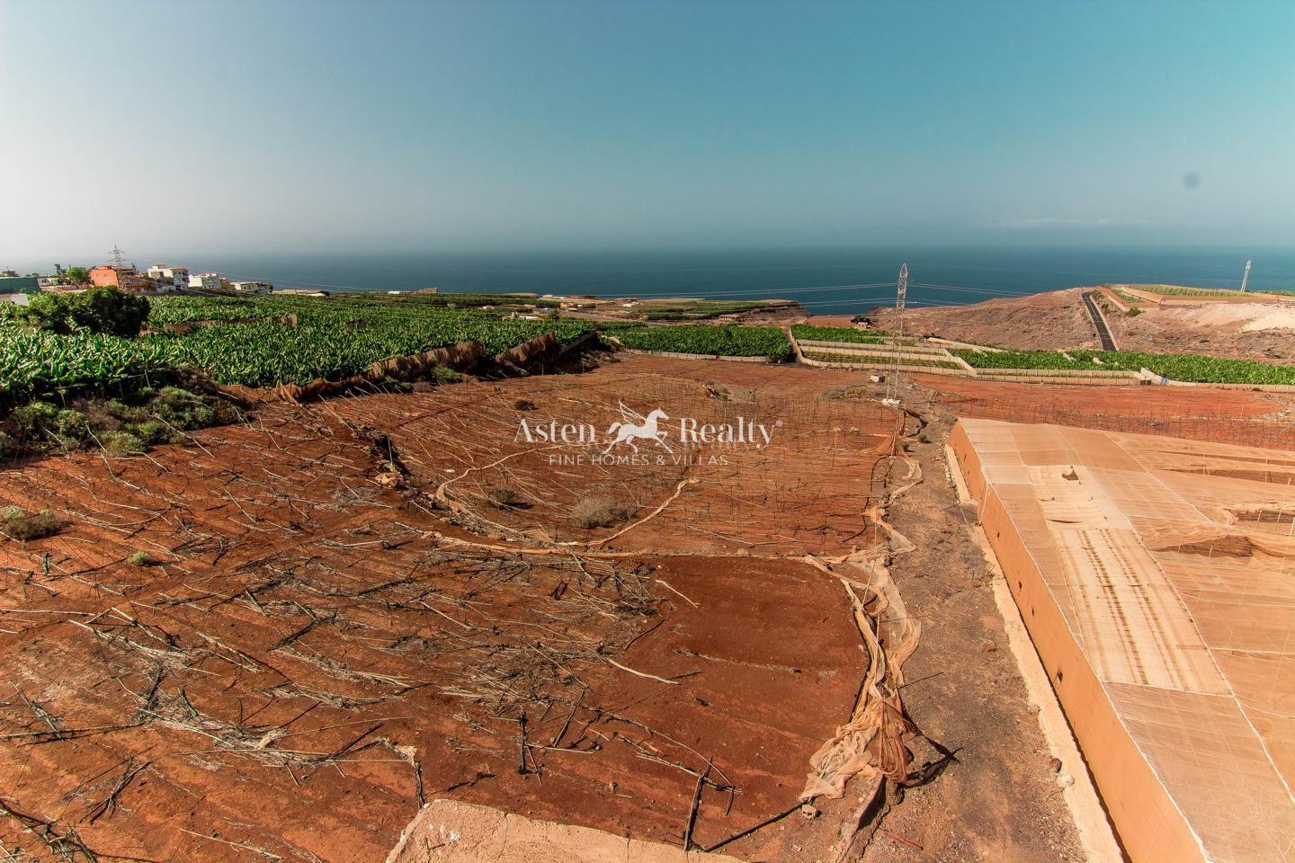 Maison — Adeje — Finca — Adeje