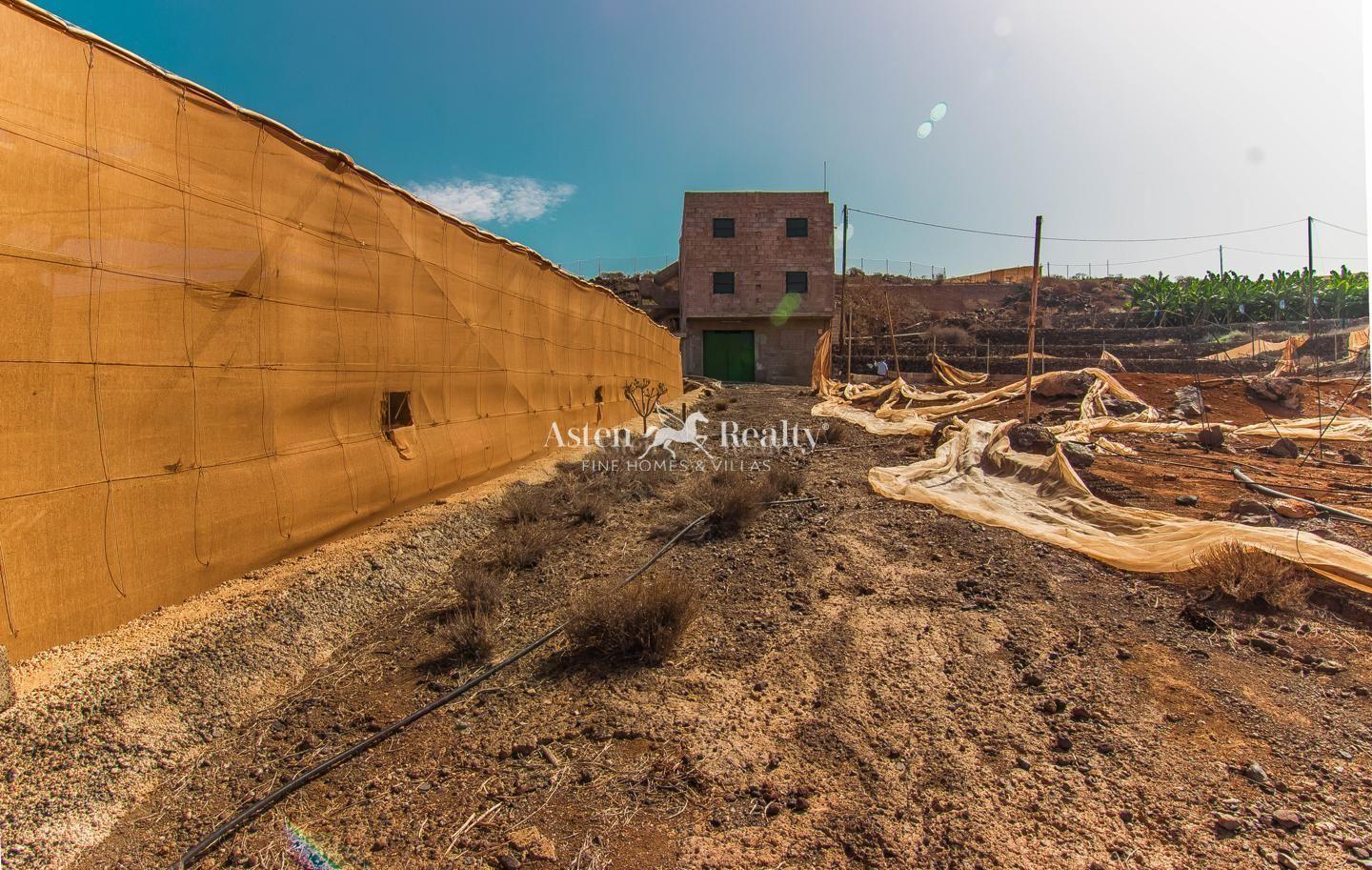 Finca — Adeje — photo 3
