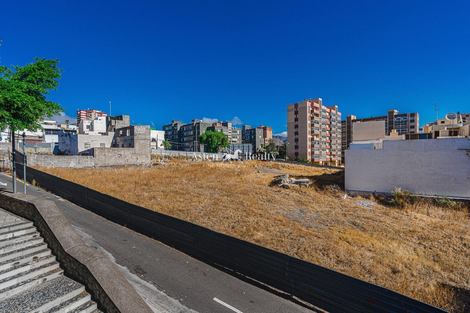 Finca — Santa Cruz de Tenerife — photo 4