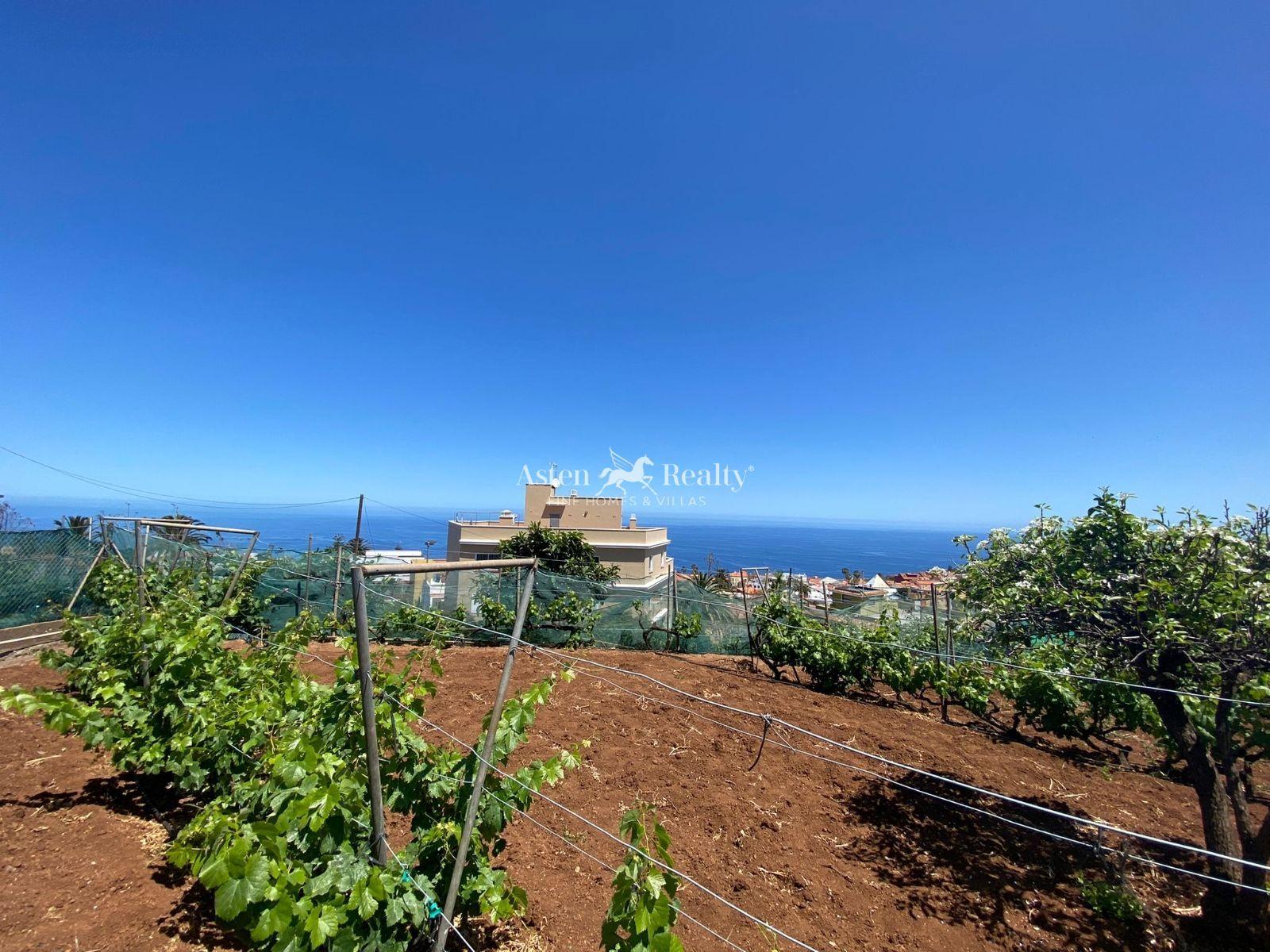 Finca — El Sauzal — photo 2