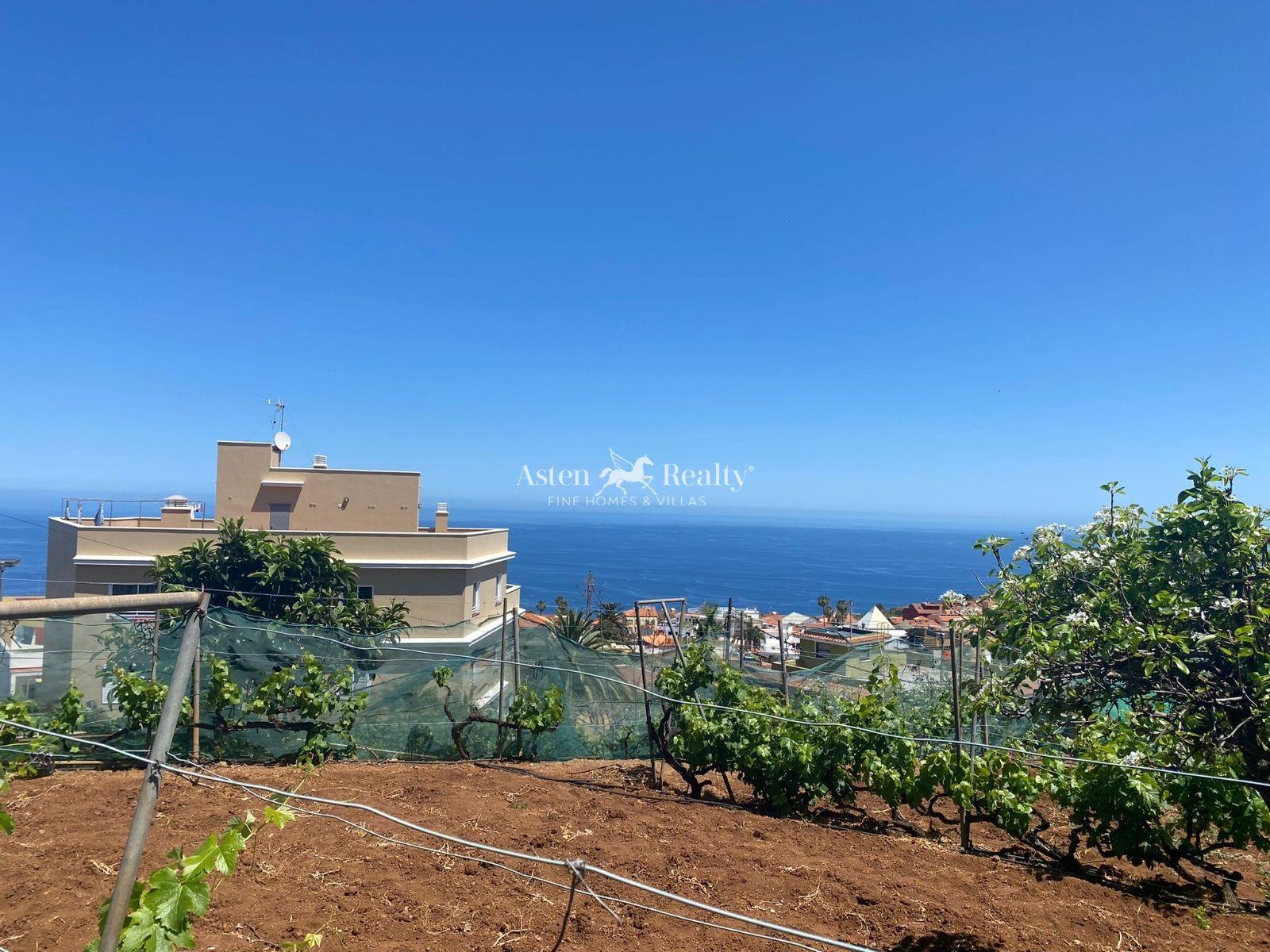 Finca — El Sauzal — photo 1