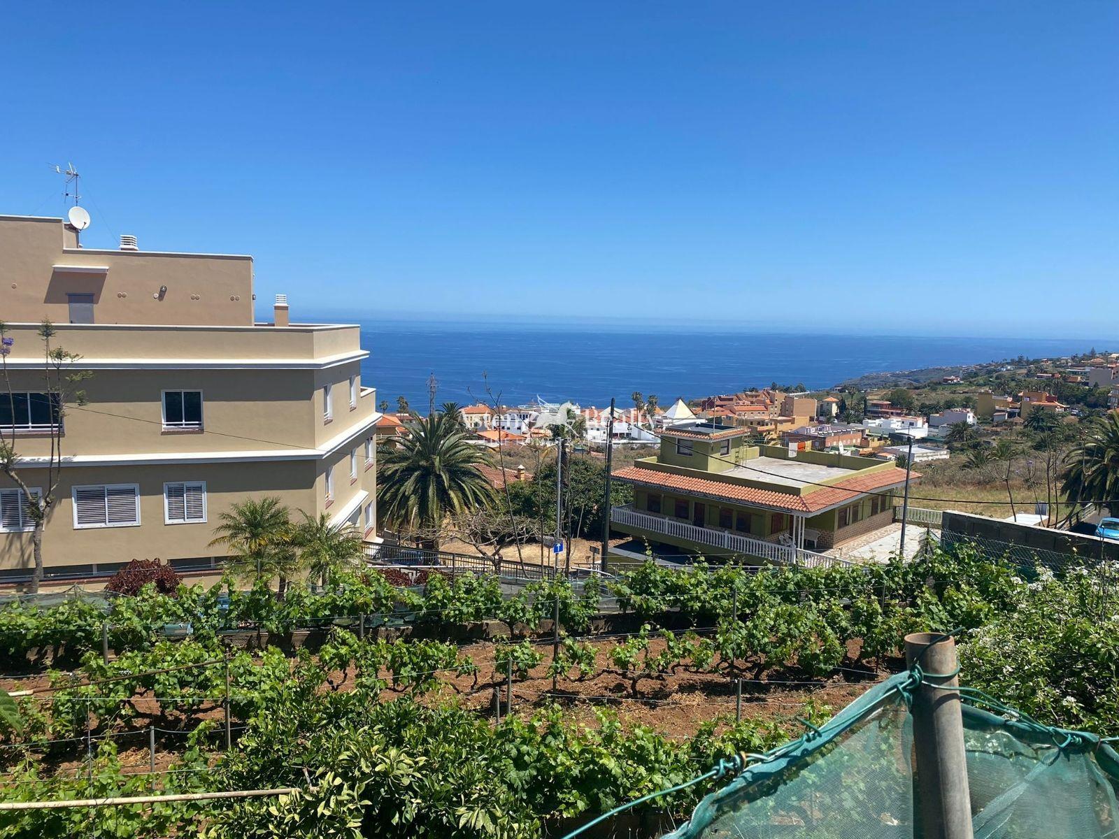 Finca — El Sauzal — photo 4