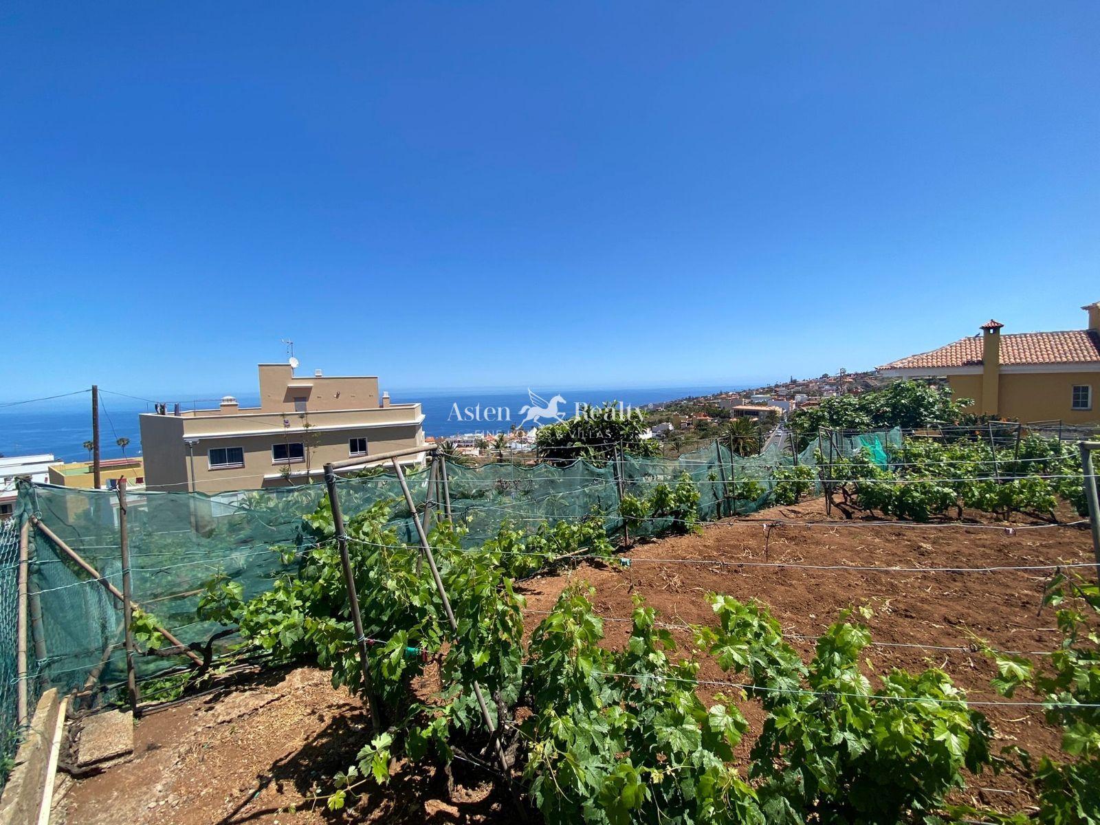Finca — El Sauzal — photo 3