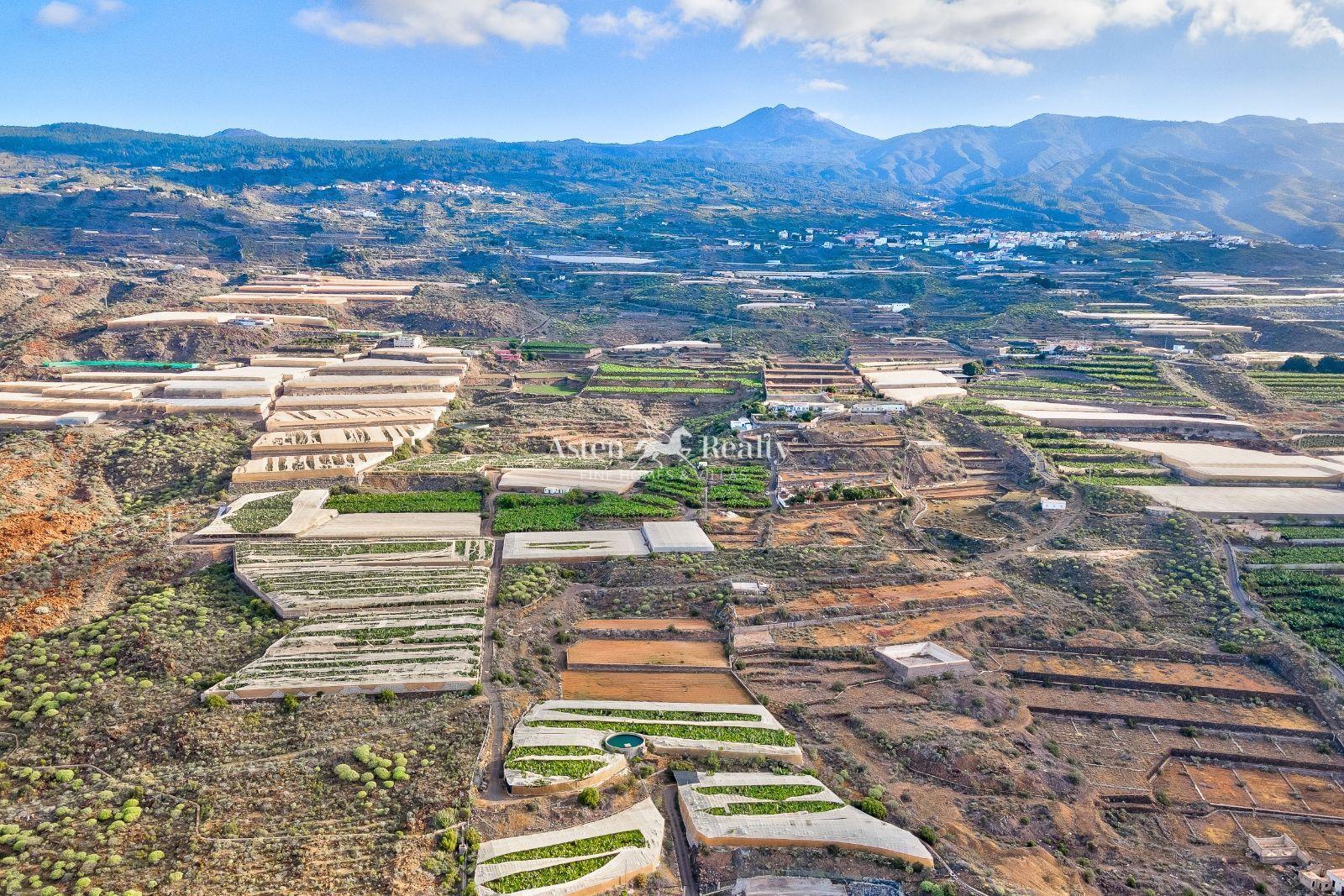 Casa — Guía de Isora — Finca — Guía de Isora