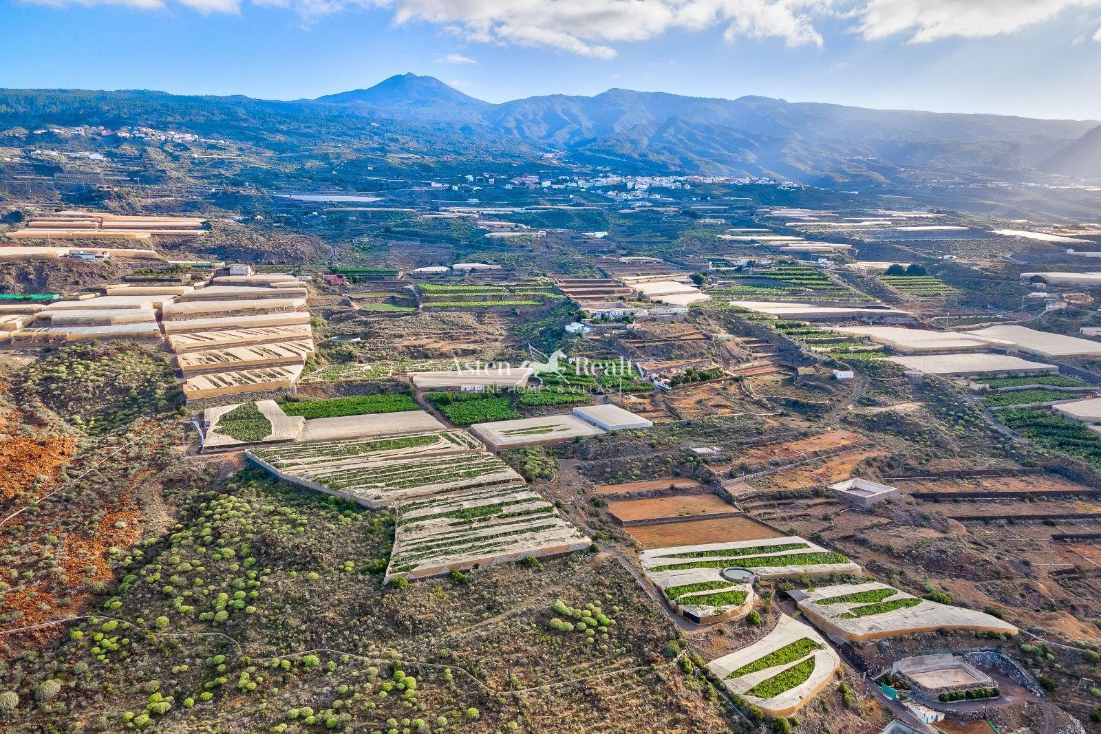 Finca — Guía de Isora — photo 2