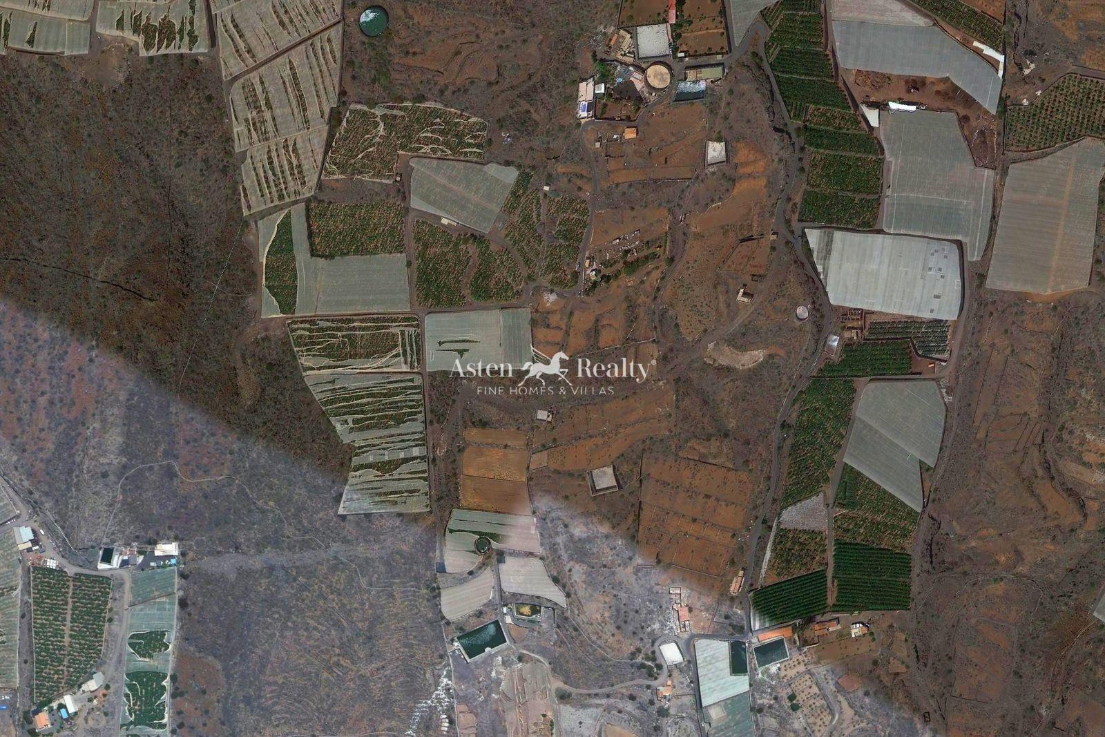 Finca — Guía de Isora — photo 5