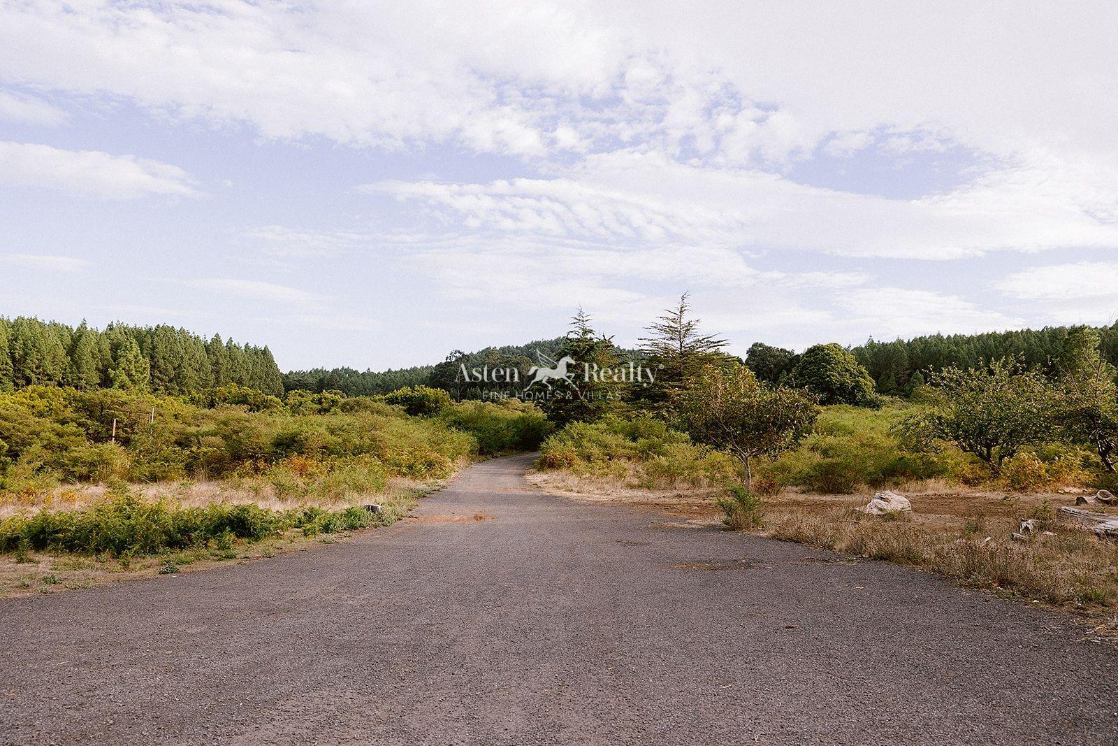 Finca — La Matanza de Acentejo — foto 3