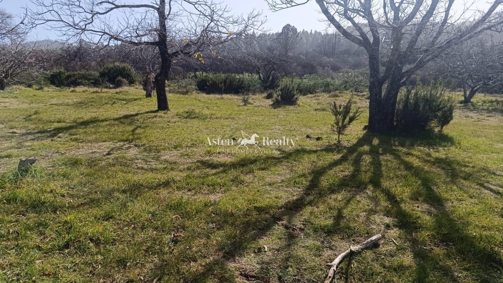 Finca — La Matanza de Acentejo — foto 4