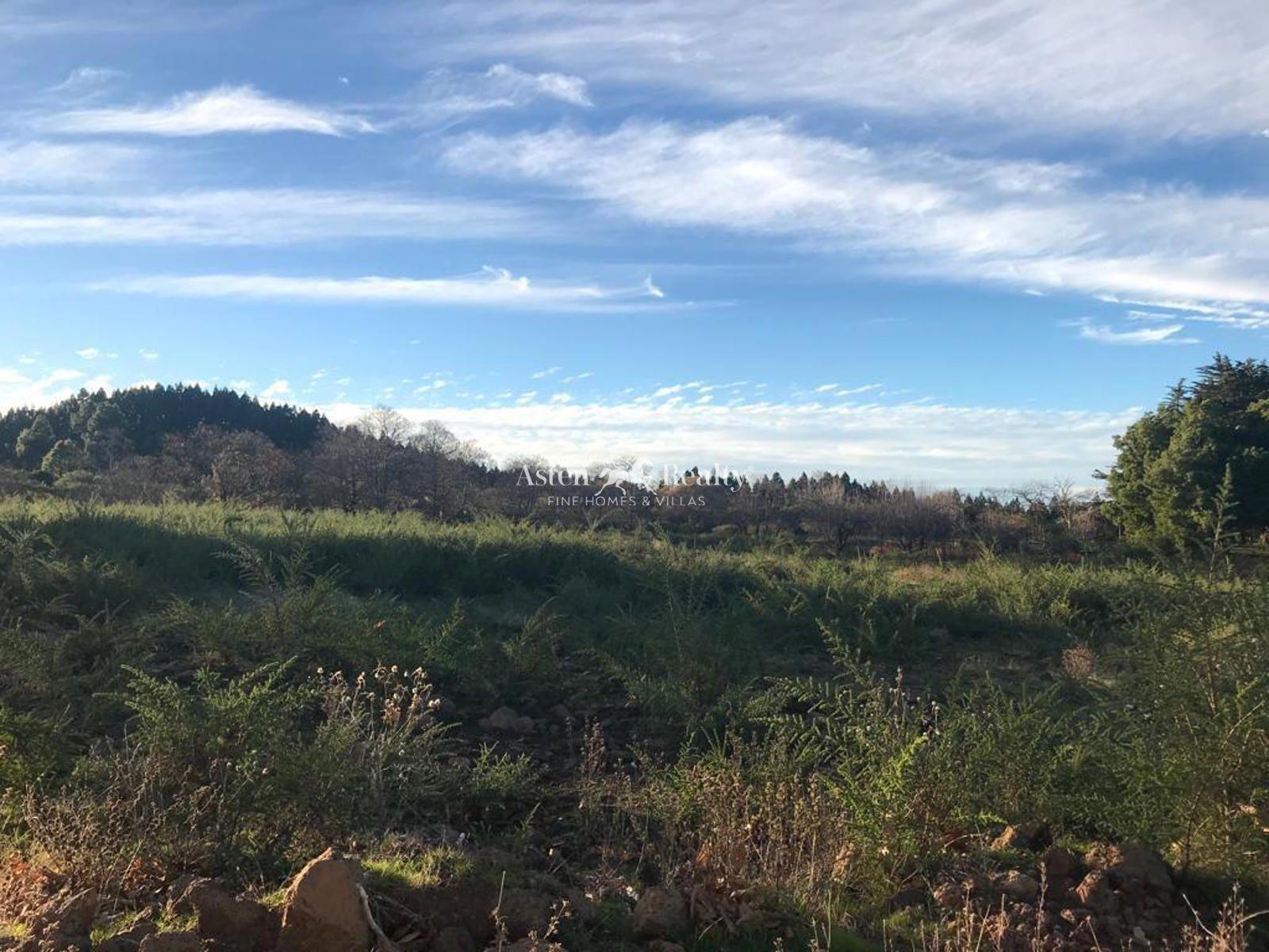Finca — La Matanza de Acentejo — foto 5