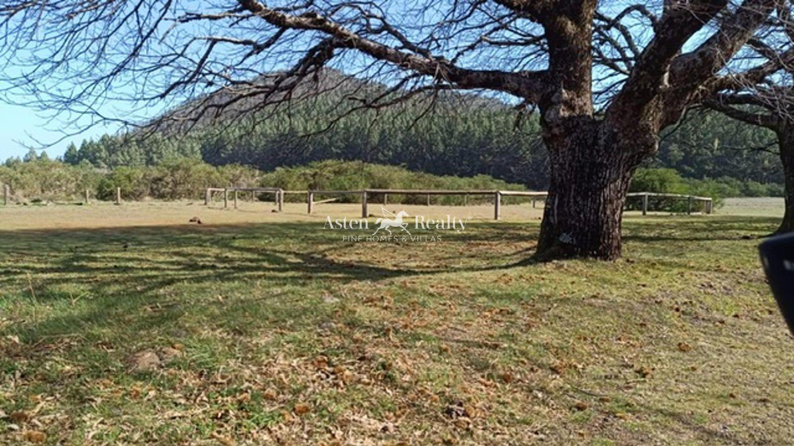 Finca — La Matanza de Acentejo — foto 1