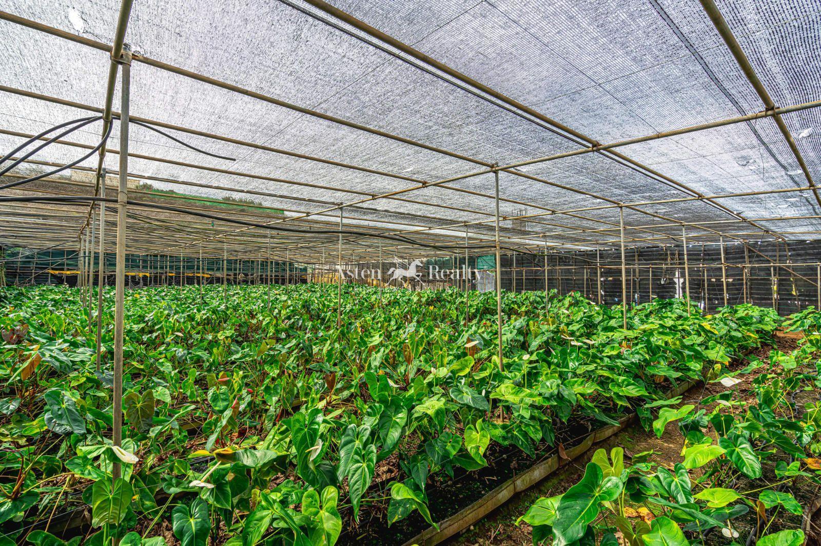 Finca — Valle Guerra — photo 1
