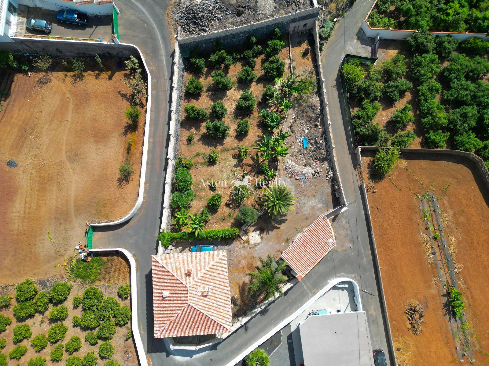 Finca — Santiago del Teide — photo 3