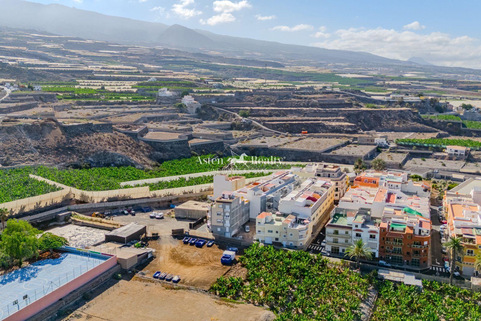 Finca — Alcalá — foto 5