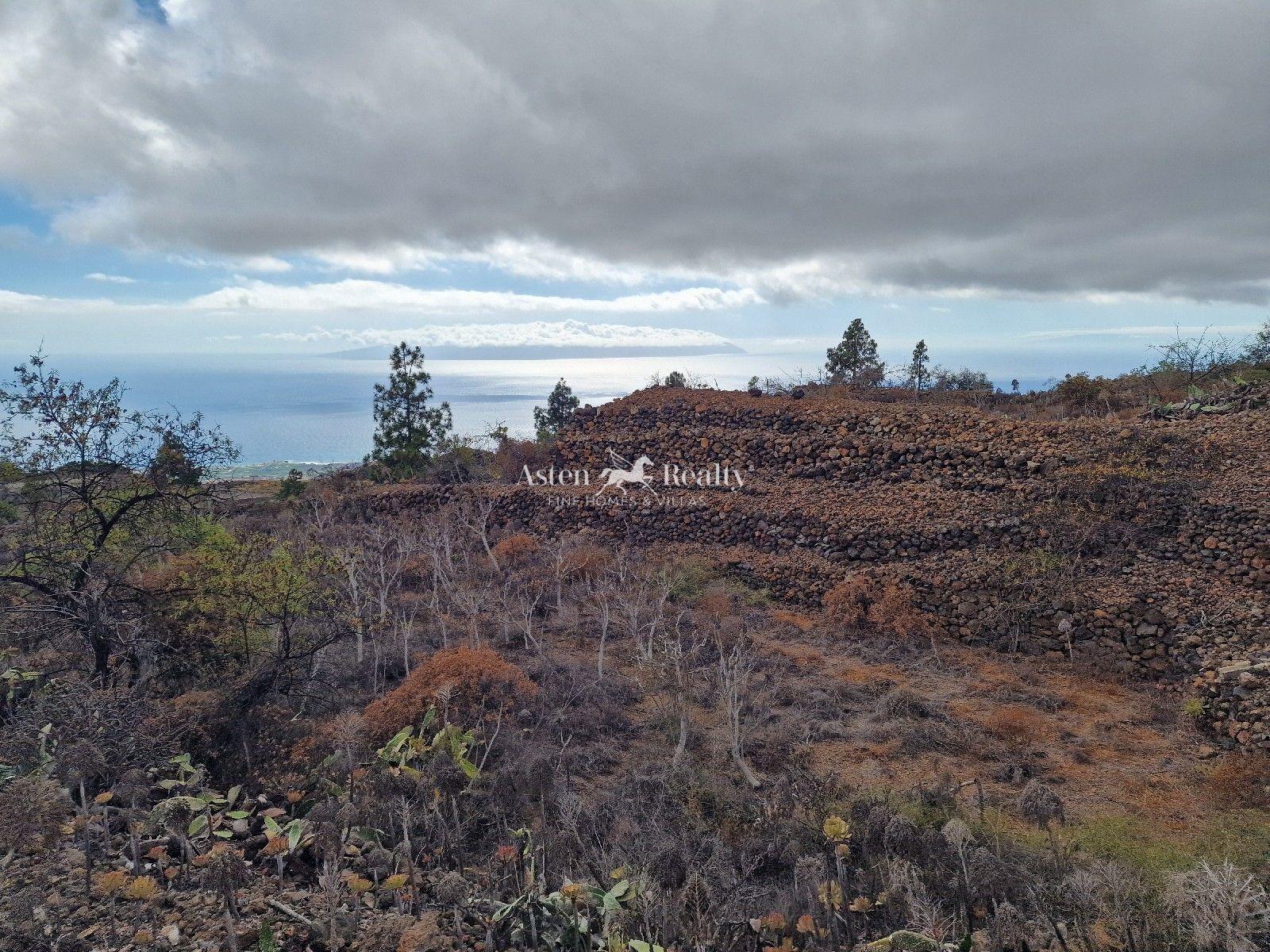 Finca — Chío, Guía de Isora — foto 2