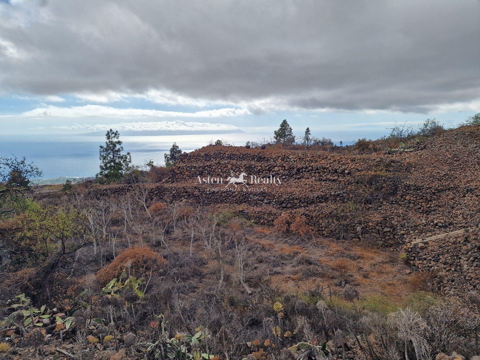 Finca — Chío, Guía de Isora — foto 1