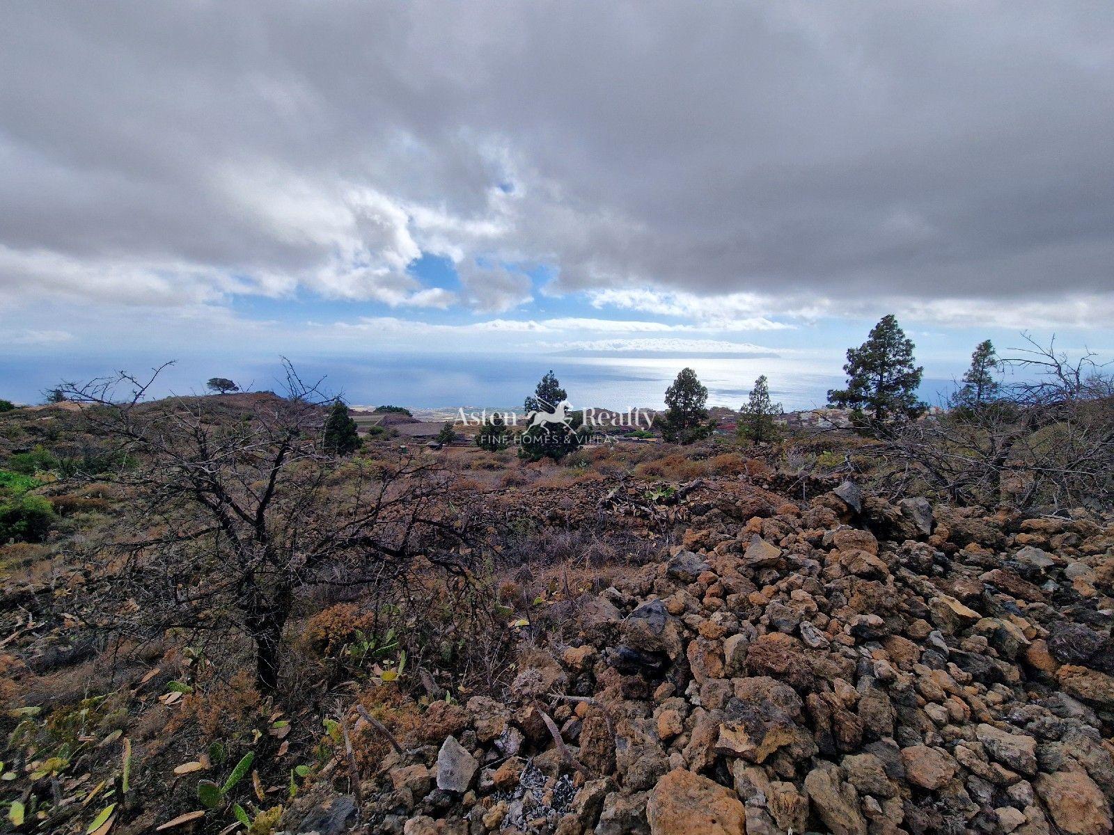 Finca — Chío, Guía de Isora — foto 3
