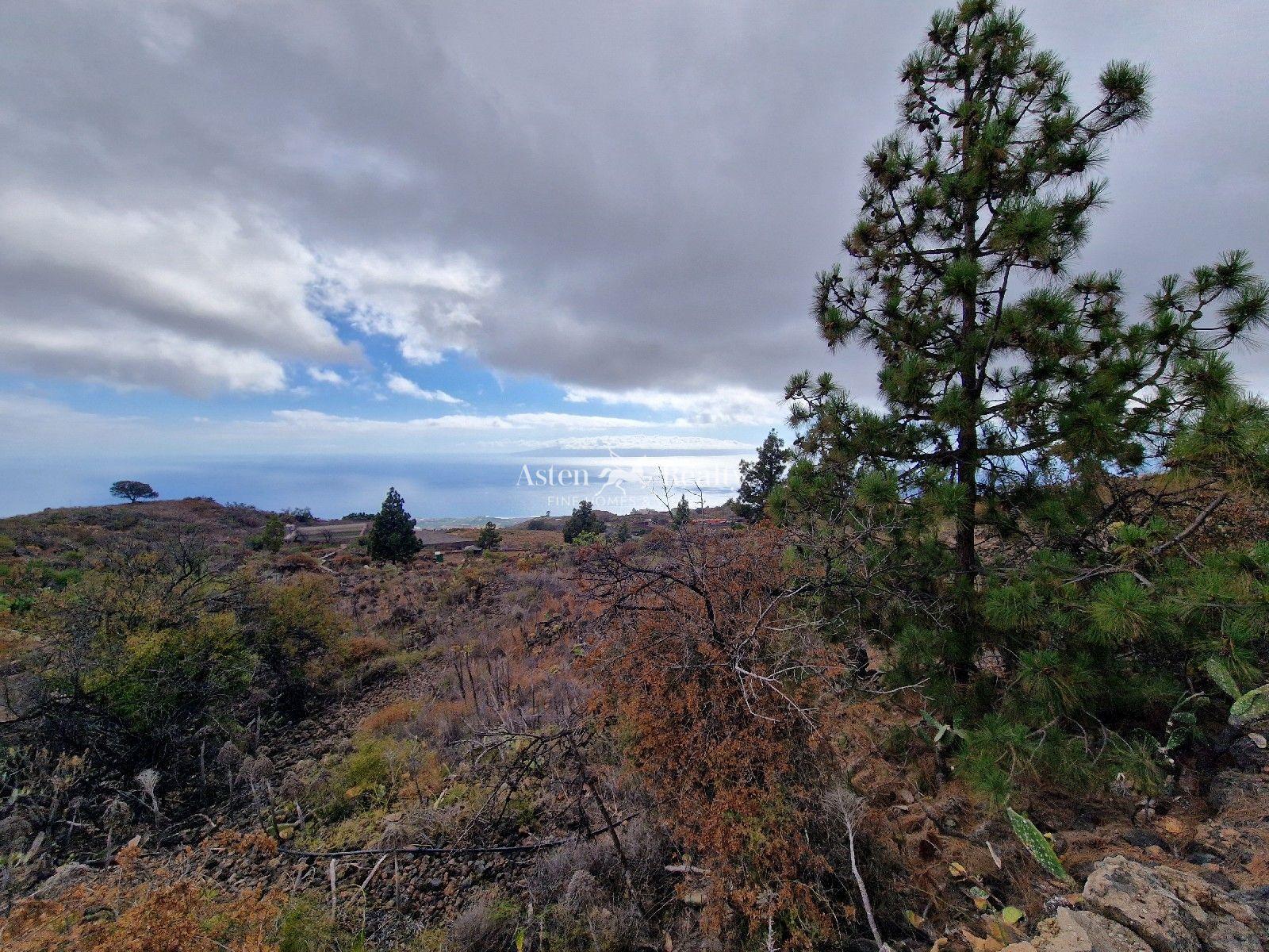 Finca — Chío, Guía de Isora — foto 5