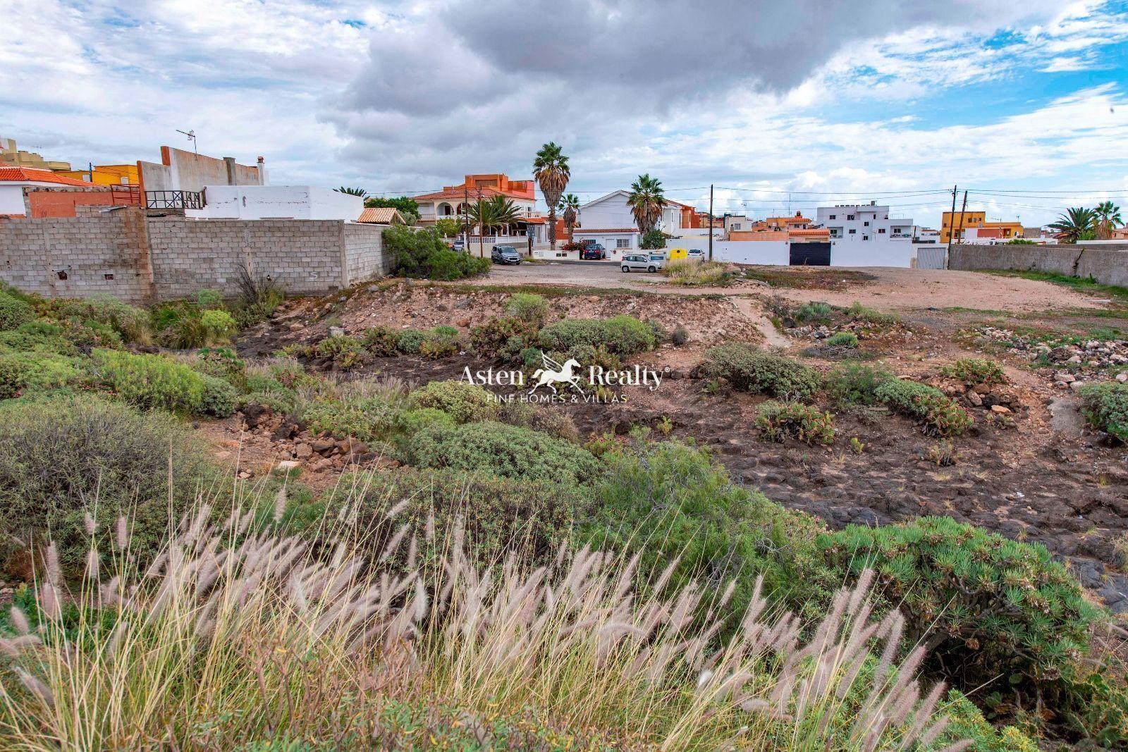 Finca — Los Cardones, San Isidro de Abona — foto 4