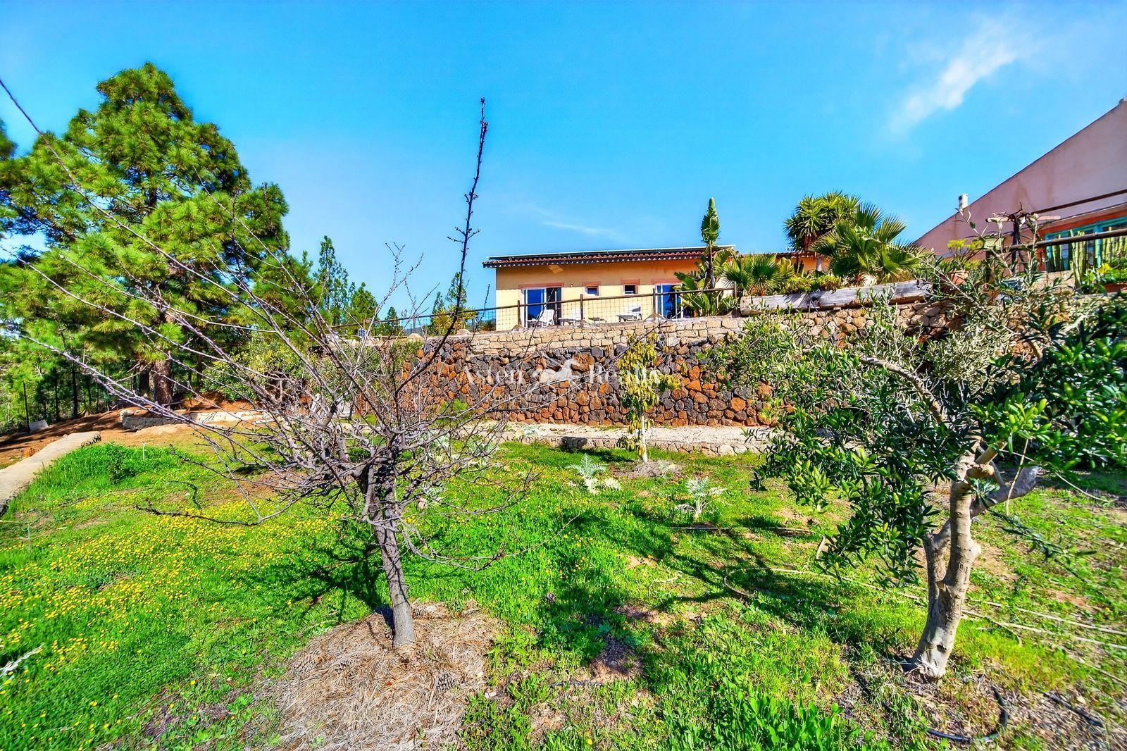 Finca — Vilaflor — foto 4
