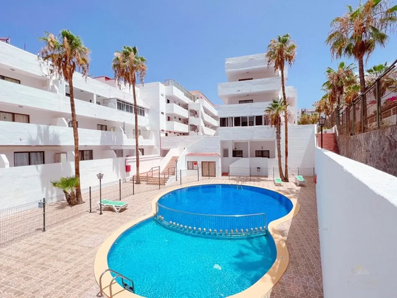 Appartement une chambre — Résidence Parque Cattleya, Playa de las Américas