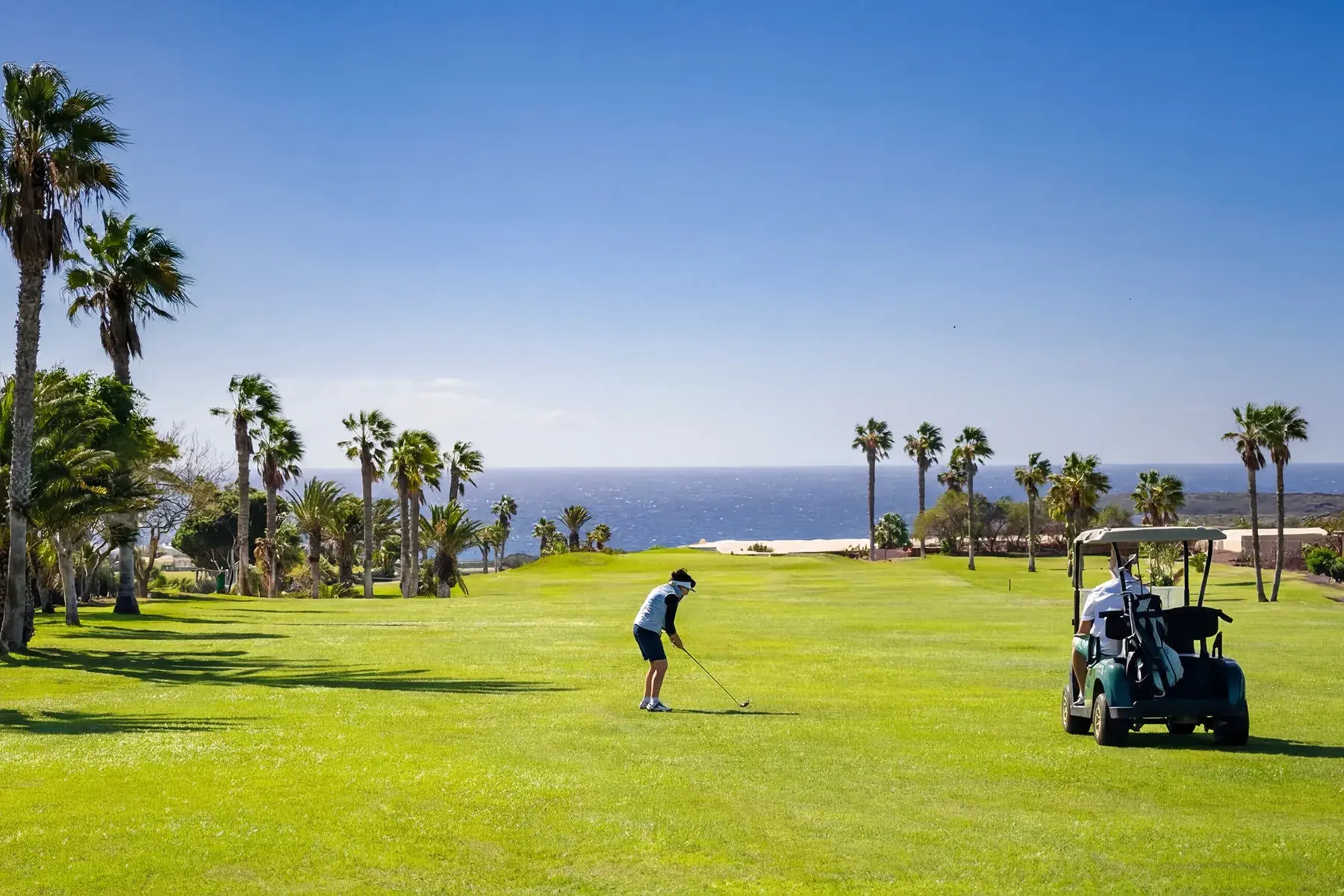 Amarilla Golf — L’ambiance 1